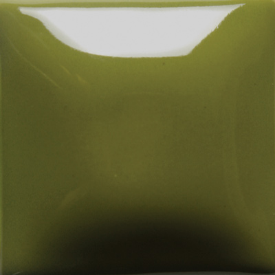 FN-021 Olive Green 473ml