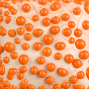 SW-442 Orange Bead 473ml