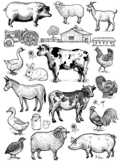 underglaze transfer Farm Animals black 33 cm x 48 cm SANBAO