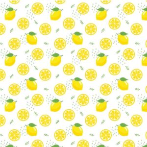 underglaze transfer Fresh Lemon 33 cm x 48 cm SANBAO