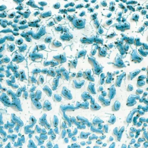CR-22 Speckled Teal 473 ml