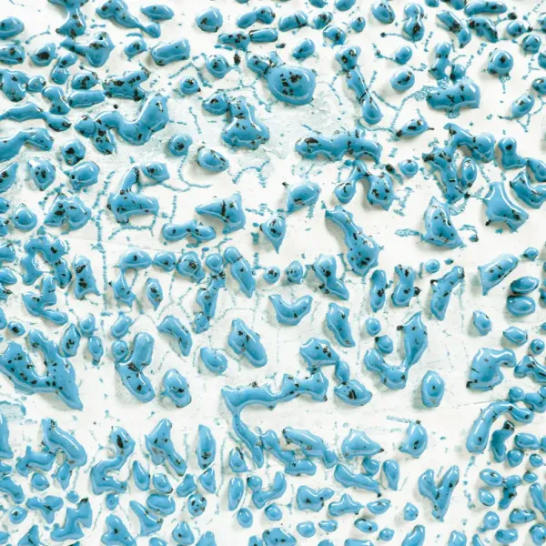 CR-22 Speckled Teal 473 ml