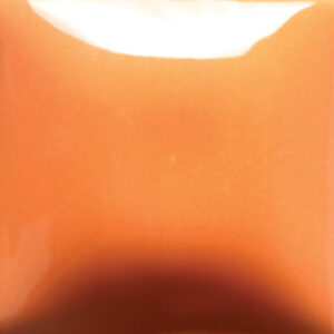 FN-040 pumpkin 473ml