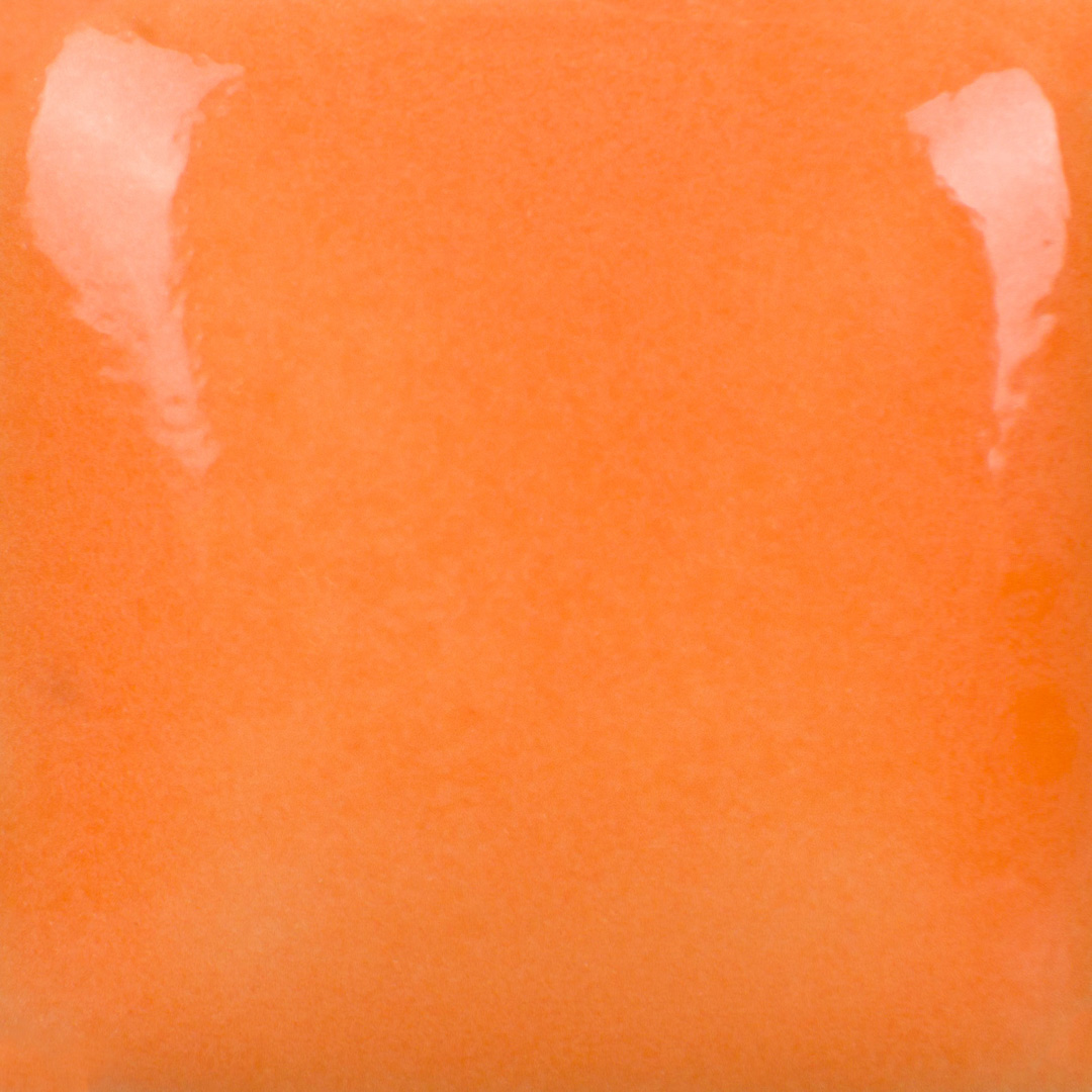 FN-040 pumpkin 473ml