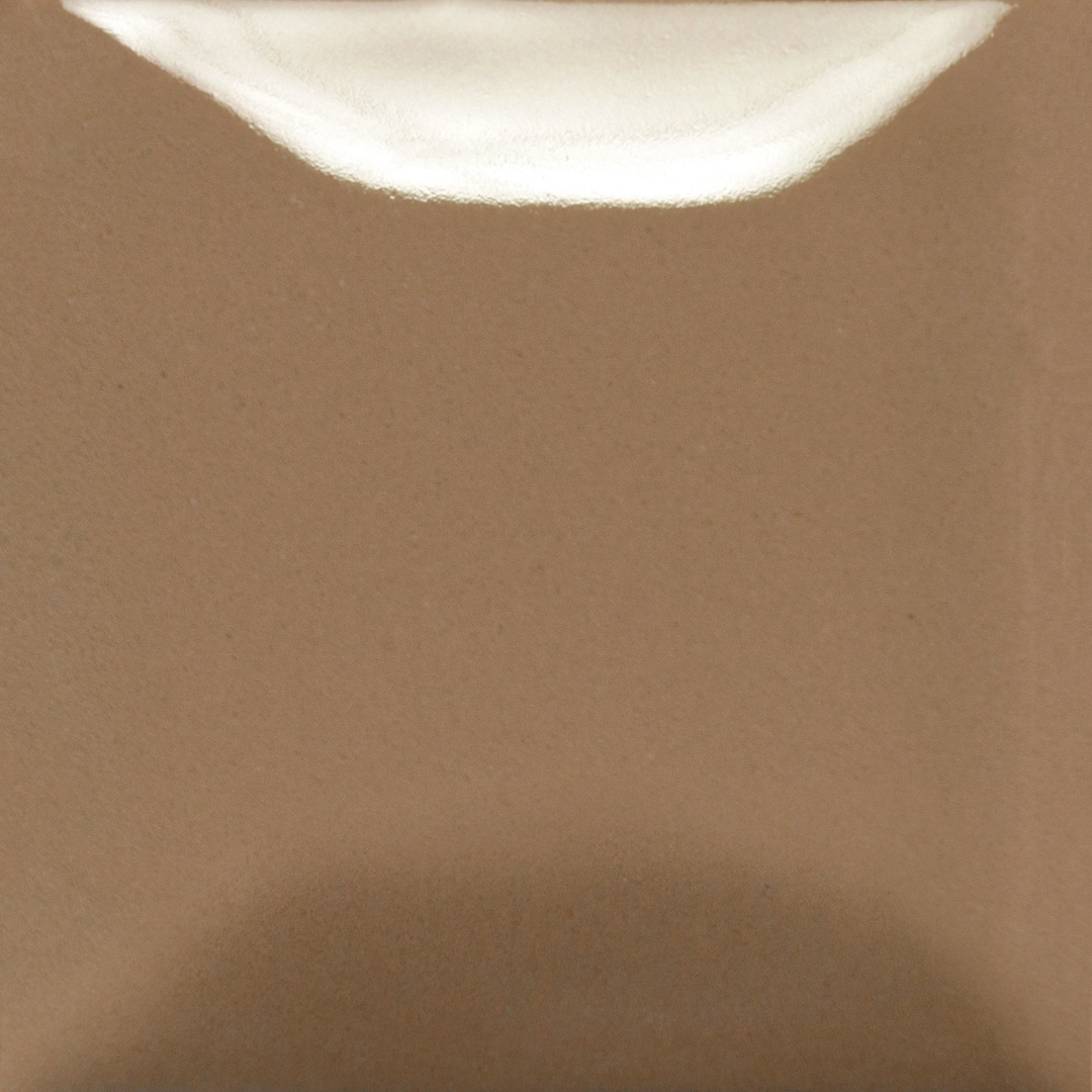 FN-060 mushroom 473ml