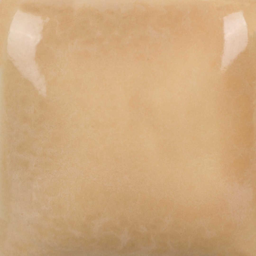 FN-060 mushroom 473ml