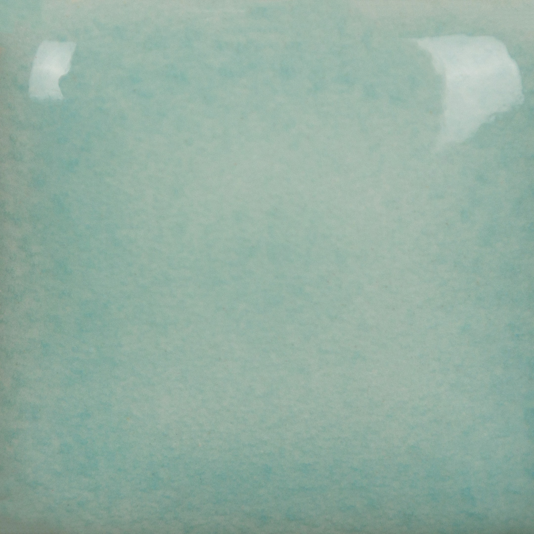 FN-237 light turquoise 473 ml