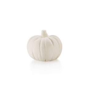 MINI POMPOEN 4 CM