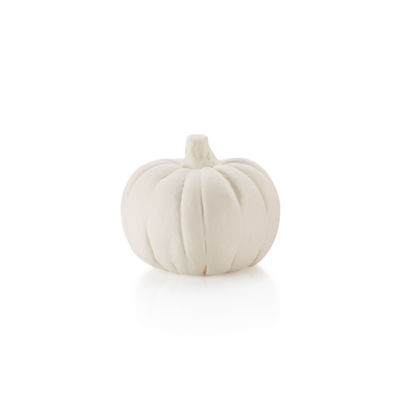 MINI POMPOEN 4 CM