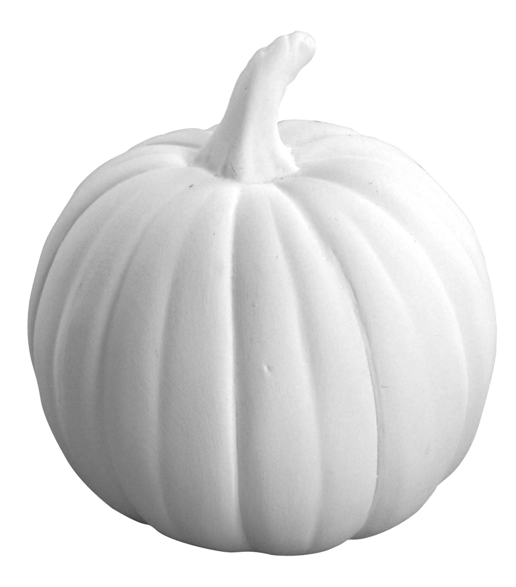 MINI POMPOEN 6.5 CM