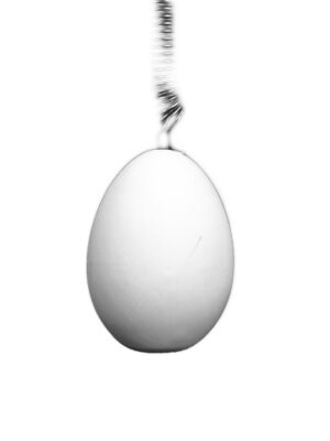 PAASORNAMENT EI met haakje