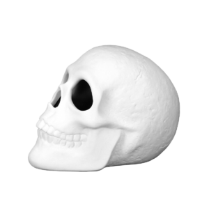 SCHEDEL